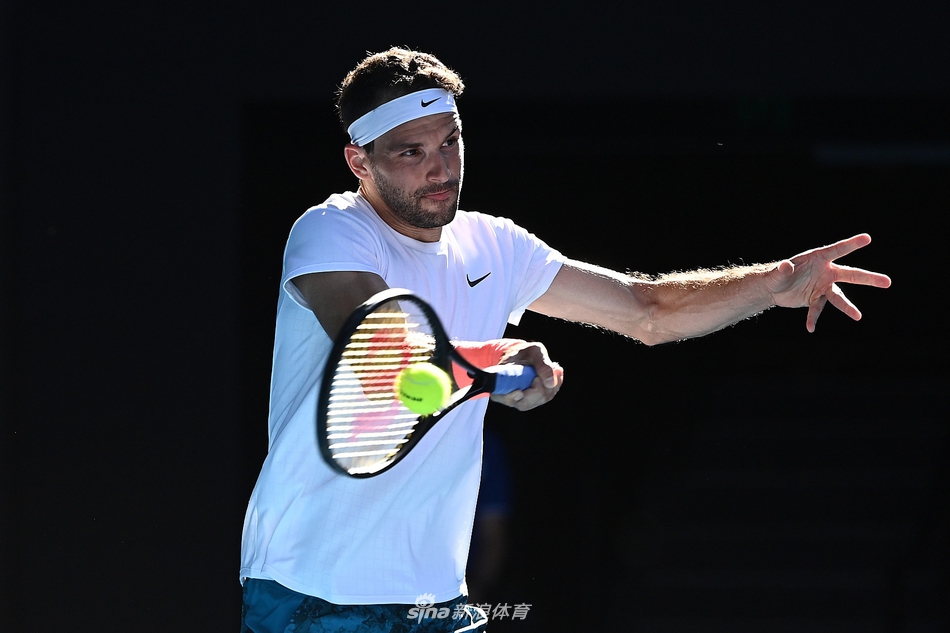 澳网横扫戴维斯杯，蒂姆扛起全队