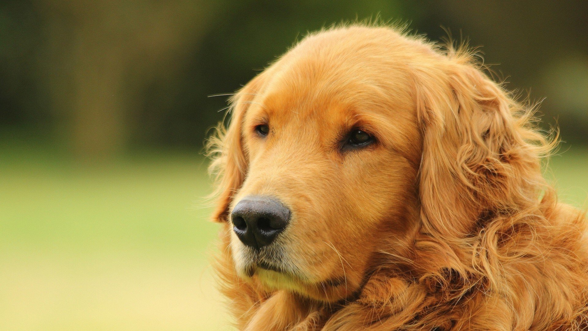构思(扩展思维)